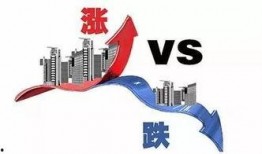 mwt最新爆料,揭秘娱乐圈最新动态与幕后真相